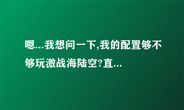 嗯...我想问一下,我的配置够不够玩激战海陆空?直接讲就可以了.