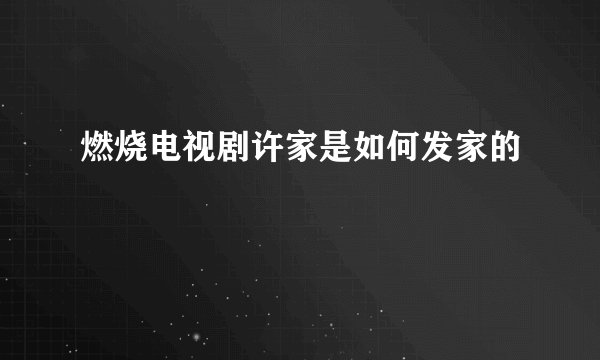 燃烧电视剧许家是如何发家的