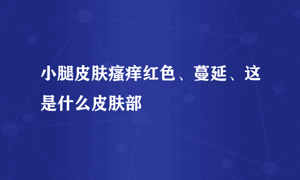 小腿皮肤瘙痒红色、蔓延、这是什么皮肤部
