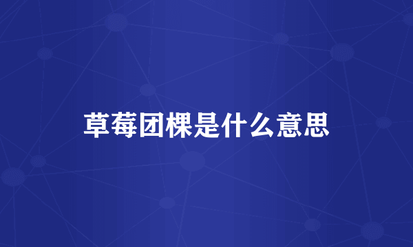 草莓团棵是什么意思