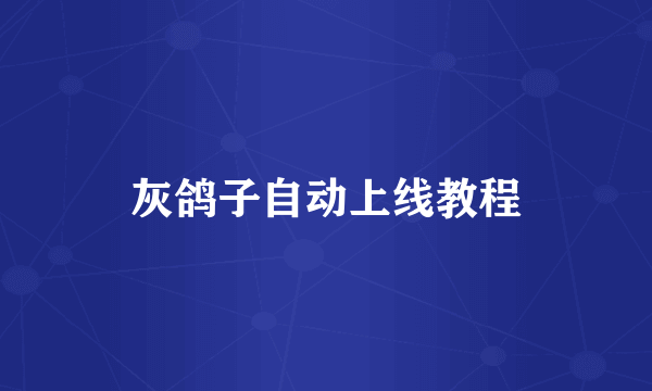 灰鸽子自动上线教程