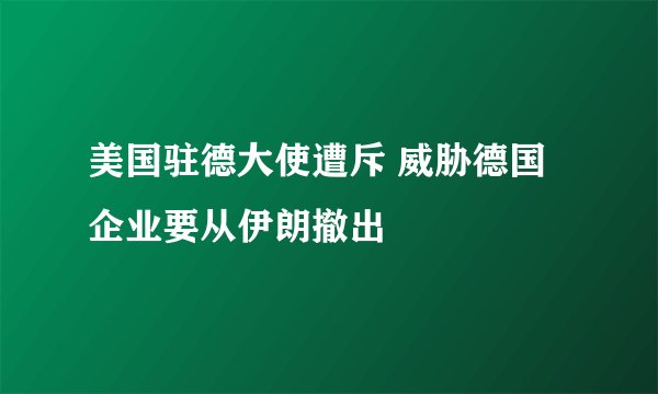 美国驻德大使遭斥 威胁德国企业要从伊朗撤出