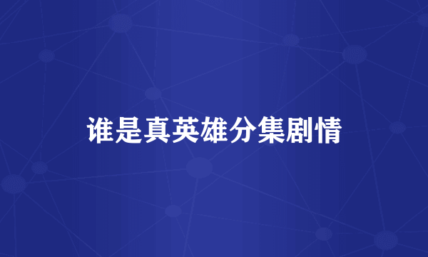 谁是真英雄分集剧情