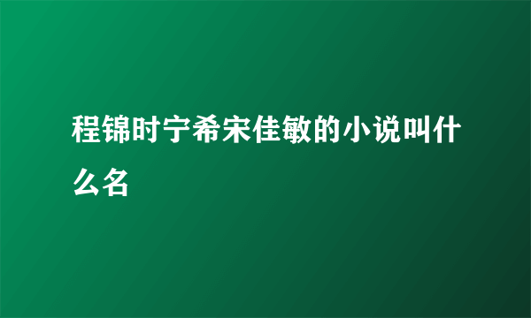 程锦时宁希宋佳敏的小说叫什么名