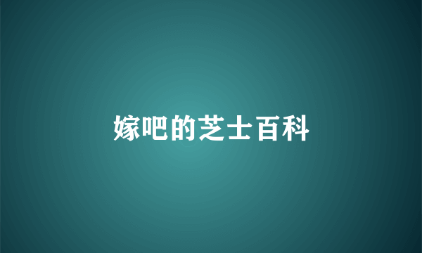 嫁吧的芝士百科