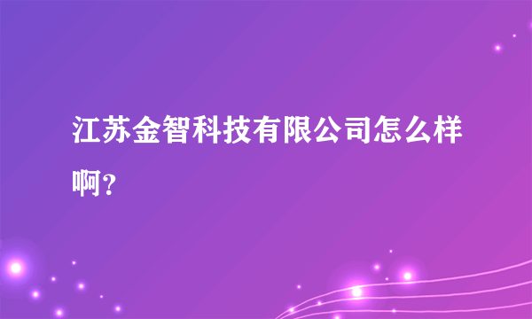 江苏金智科技有限公司怎么样啊？