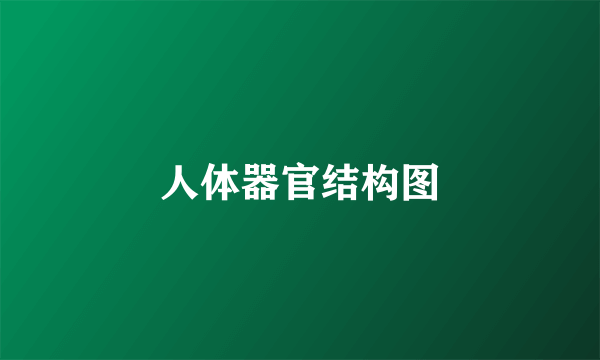 人体器官结构图