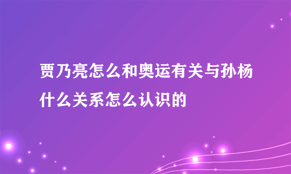 贾乃亮怎么和奥运有关与孙杨什么关系怎么认识的