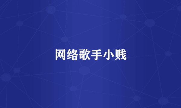 网络歌手小贱