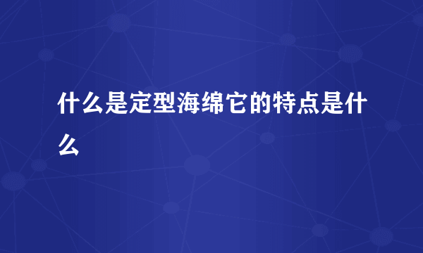 什么是定型海绵它的特点是什么