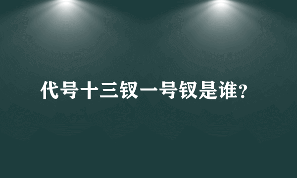 代号十三钗一号钗是谁？