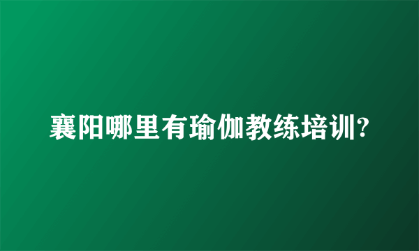 襄阳哪里有瑜伽教练培训?