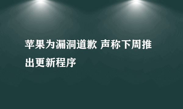 苹果为漏洞道歉 声称下周推出更新程序