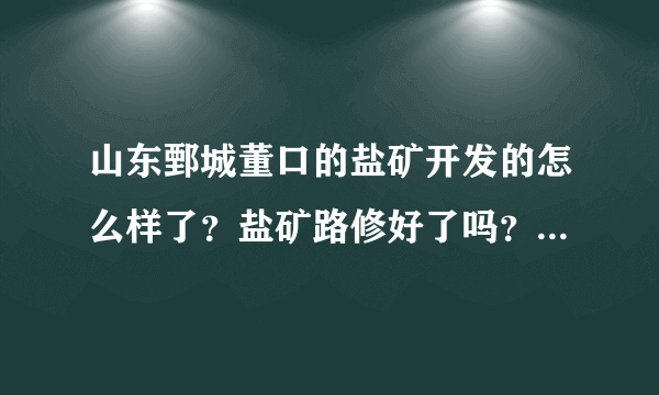山东鄄城董口的盐矿开发的怎么样了？盐矿路修好了吗？有没有出盐哪？盐矿是怎么规划的啊？有谁了解吗？