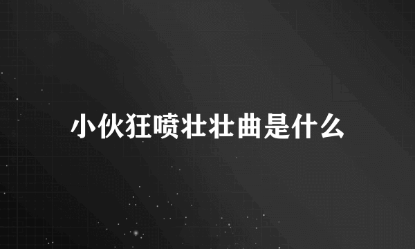 小伙狂喷壮壮曲是什么
