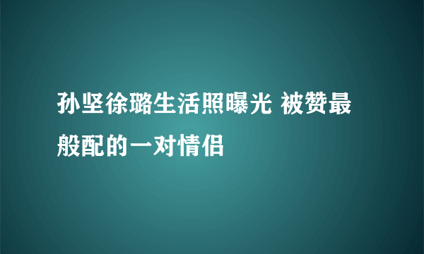 孙坚徐璐生活照曝光 被赞最般配的一对情侣