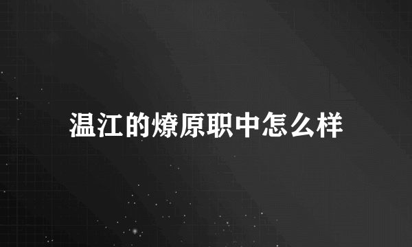 温江的燎原职中怎么样