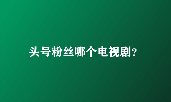 头号粉丝哪个电视剧？