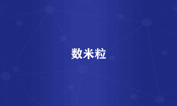 数米粒