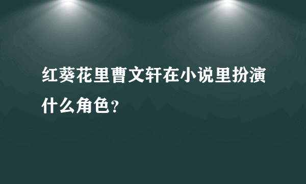 红葵花里曹文轩在小说里扮演什么角色？