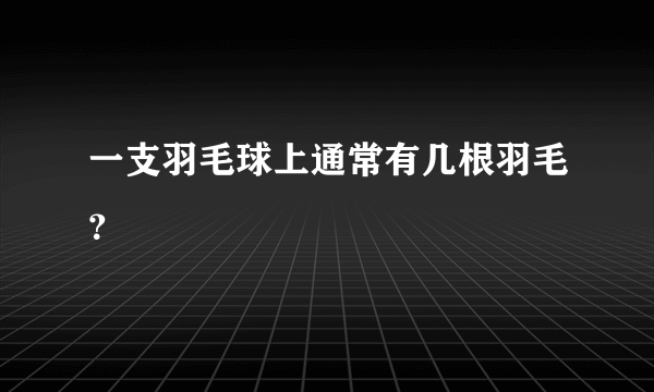一支羽毛球上通常有几根羽毛？
