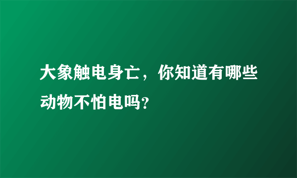 大象触电身亡，你知道有哪些动物不怕电吗？