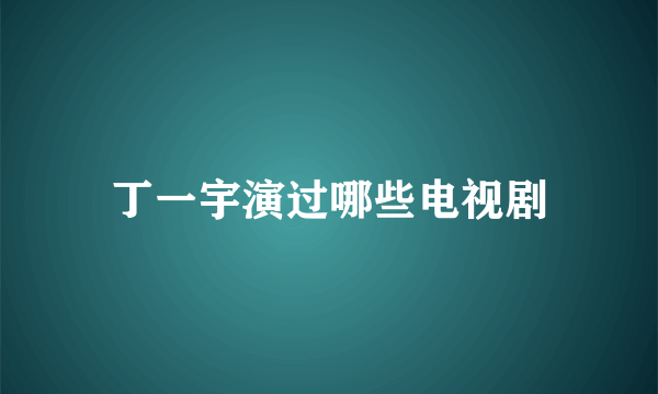 丁一宇演过哪些电视剧