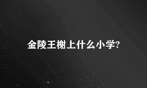 金陵王榭上什么小学?