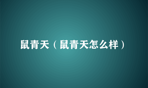 鼠青天（鼠青天怎么样）