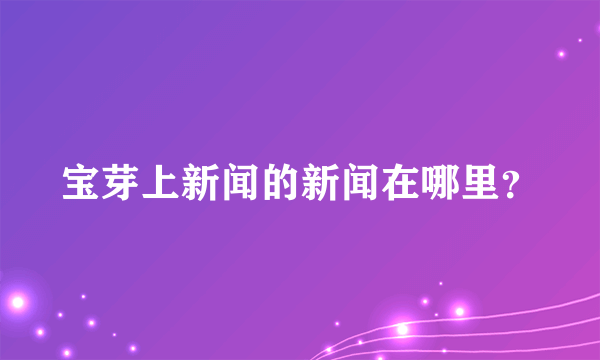 宝芽上新闻的新闻在哪里？