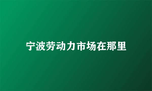 宁波劳动力市场在那里