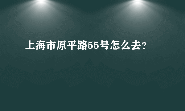 上海市原平路55号怎么去？