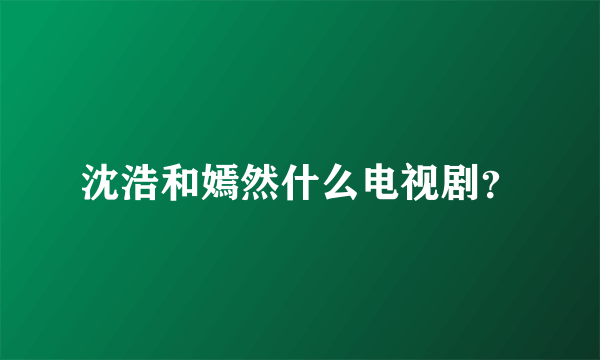 沈浩和嫣然什么电视剧？