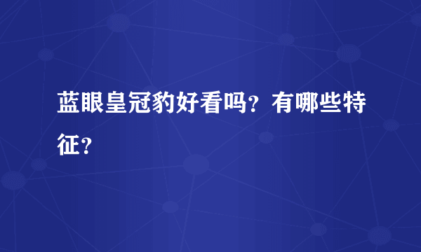 蓝眼皇冠豹好看吗？有哪些特征？