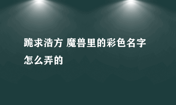 跪求浩方 魔兽里的彩色名字怎么弄的