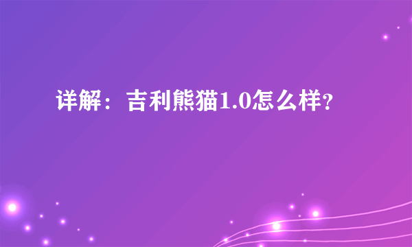 详解：吉利熊猫1.0怎么样？