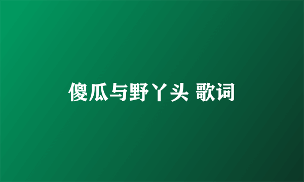 傻瓜与野丫头 歌词