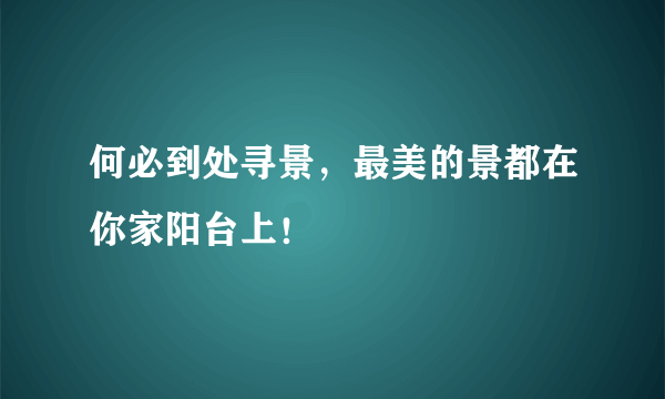 何必到处寻景，最美的景都在你家阳台上！