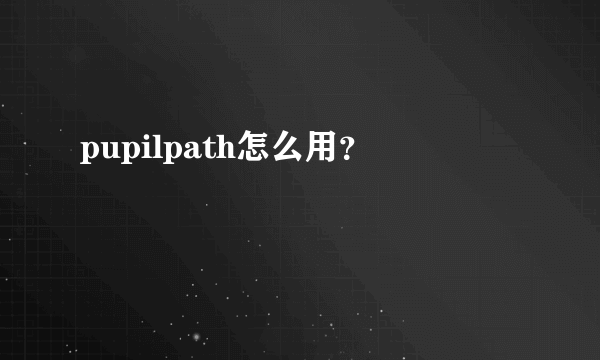 pupilpath怎么用？