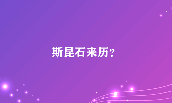 斯昆石来历？