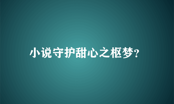 小说守护甜心之枢梦？