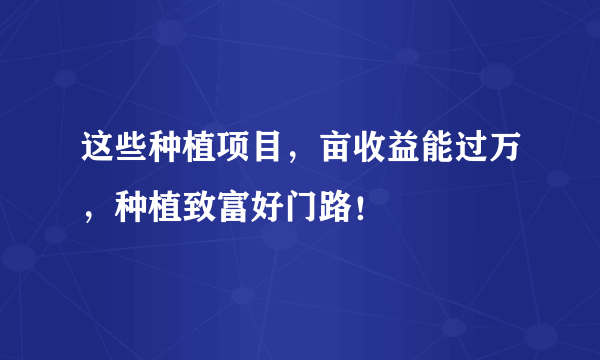 这些种植项目，亩收益能过万，种植致富好门路！