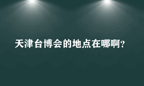 天津台博会的地点在哪啊？