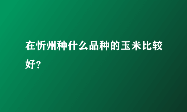 在忻州种什么品种的玉米比较好？