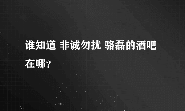 谁知道 非诚勿扰 骆磊的酒吧在哪？