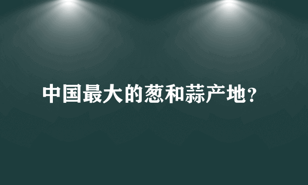 中国最大的葱和蒜产地？