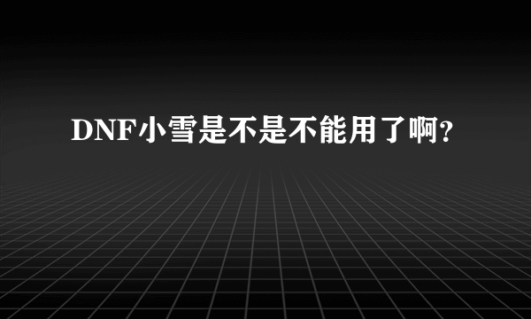 DNF小雪是不是不能用了啊？
