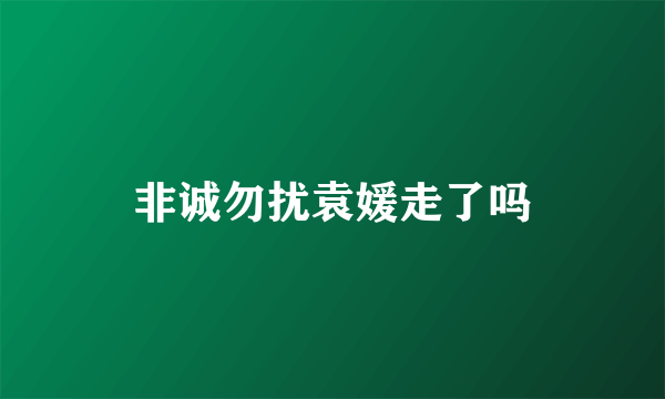 非诚勿扰袁媛走了吗