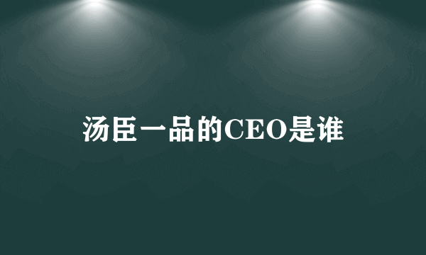 汤臣一品的CEO是谁