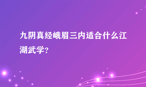 九阴真经峨眉三内适合什么江湖武学？